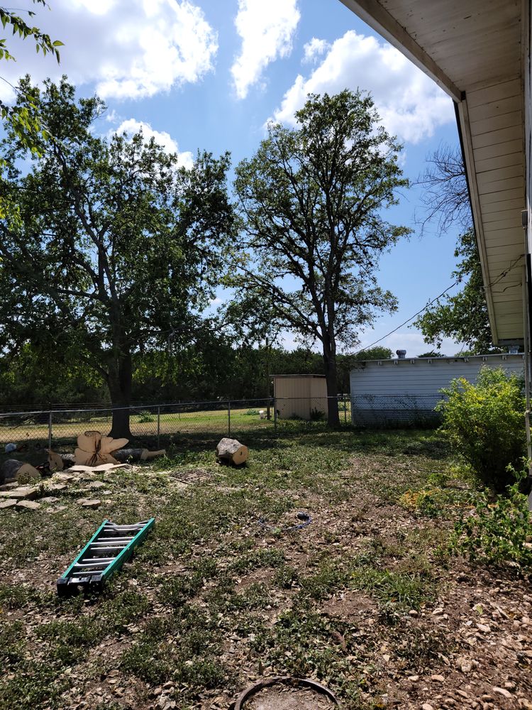 Lira Quality Tree Service