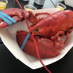 Morrison S Lobsters Temp Closed 35 Photos 52 Reviews Photo Of Morrison S Lobsters Kittery Me United States