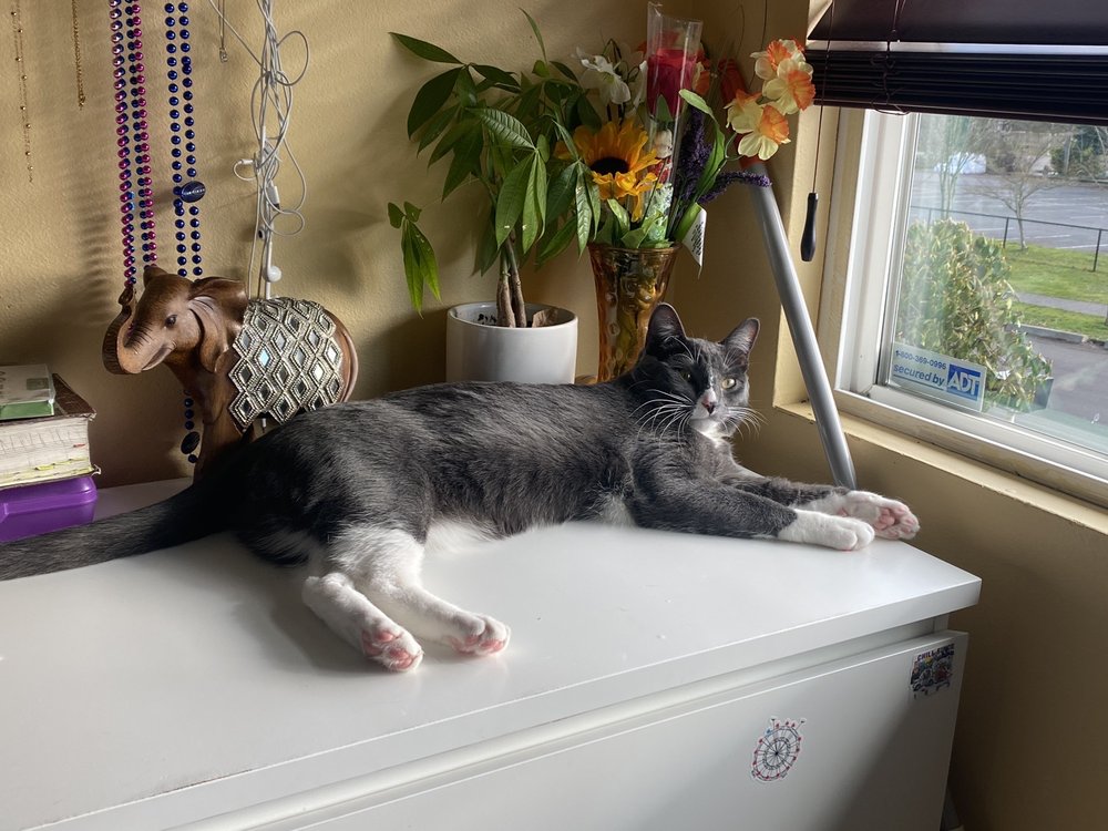 Happy Cleaning Service