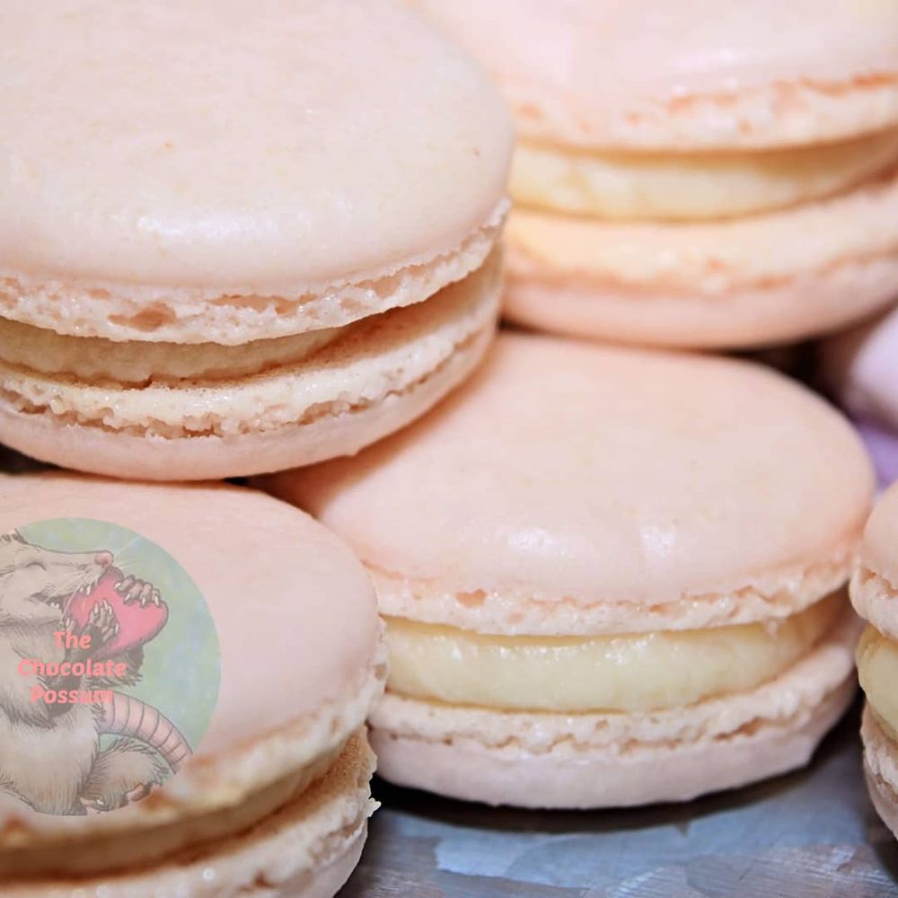 The Chocolate Possum