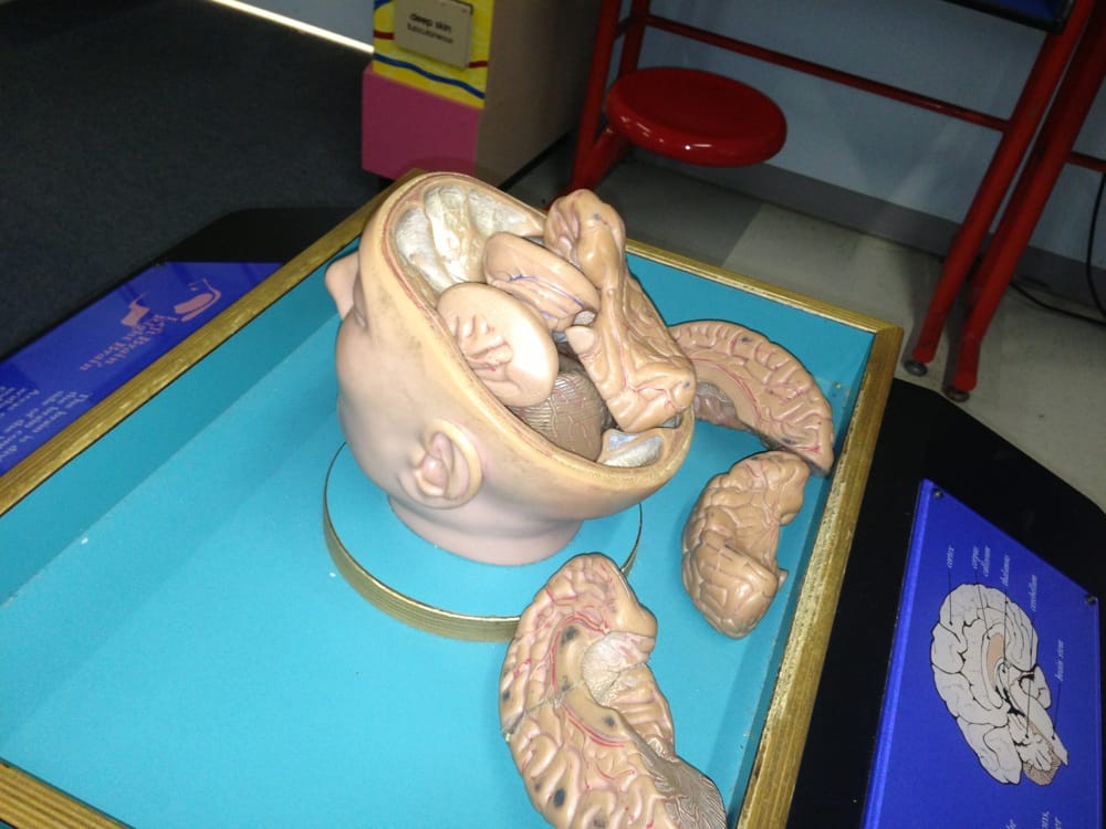Hands-On Science Center