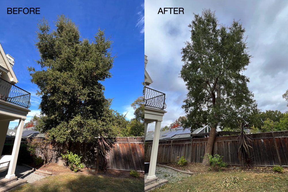 image of business EC Tree Service