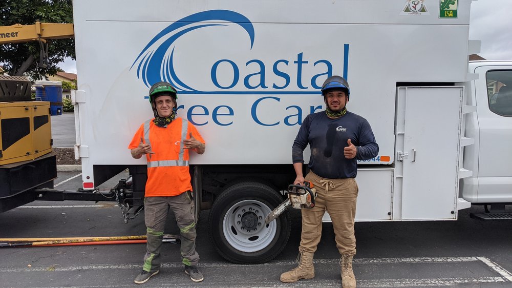 Coastal Tree Care