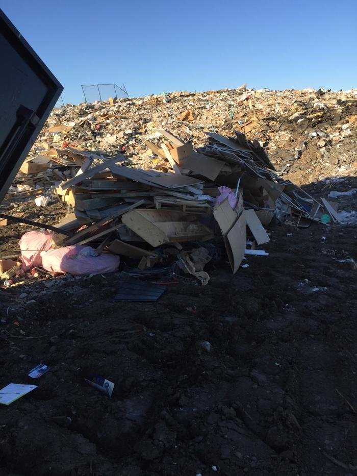 Payless Disposal