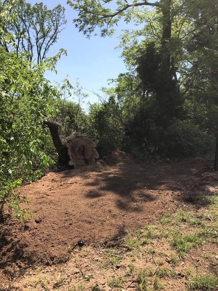 Old Mackey’s Stump Grinding