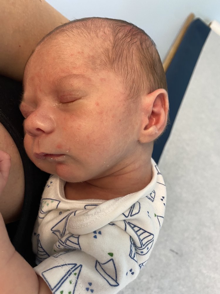 image of business Harbor Pediatric