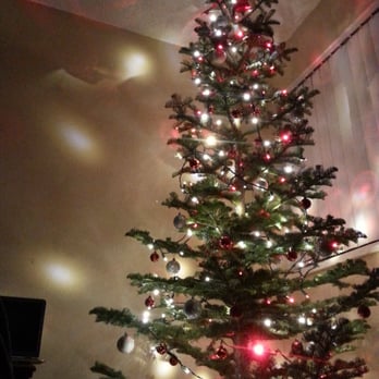 reno christmas trees 26 photos 23 reviews christmas reno christmas trees 26 photos 23 reviews christmas
