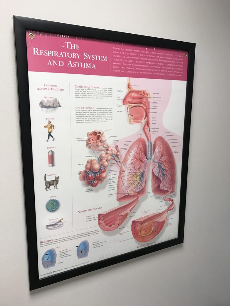 image of business Chicago Family Asthma and Allergy