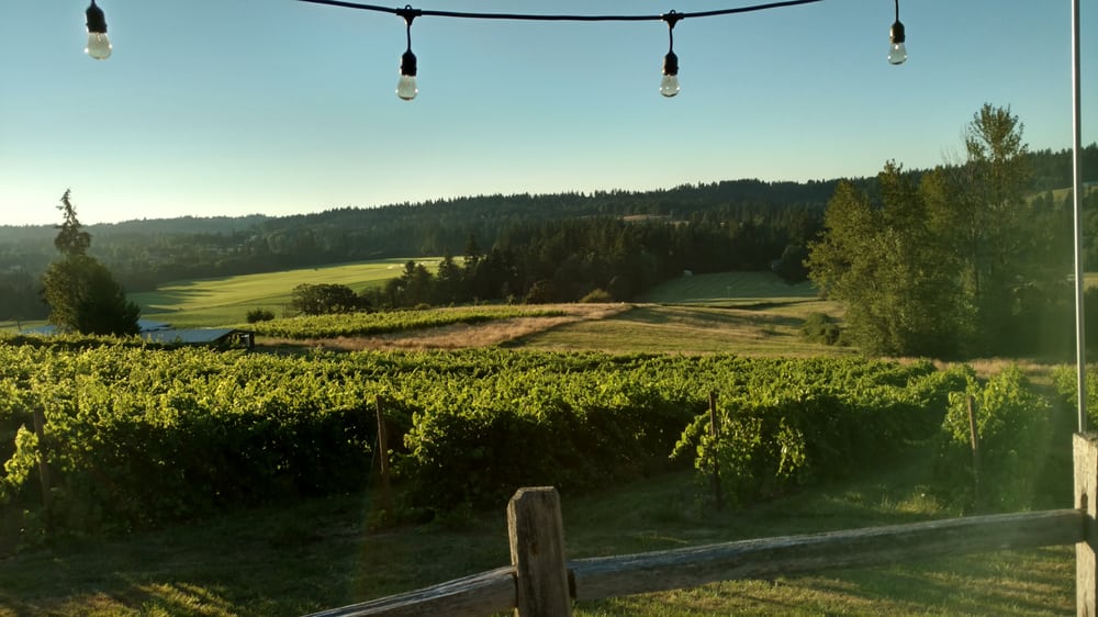 King’s Raven Winery 39 Photos Wineries 11603 S New Era Rd, Oregon