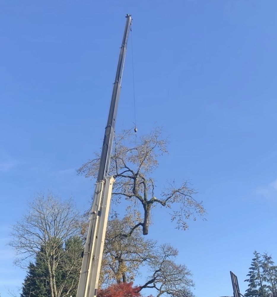 Joe Grab Tree Service