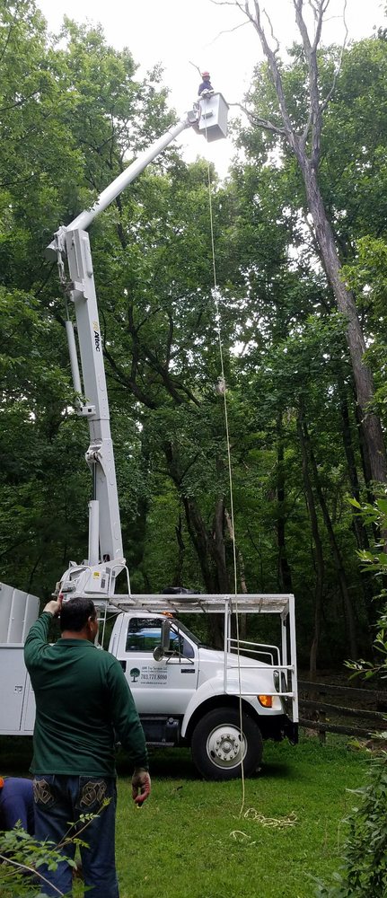 ADM Tree Services
