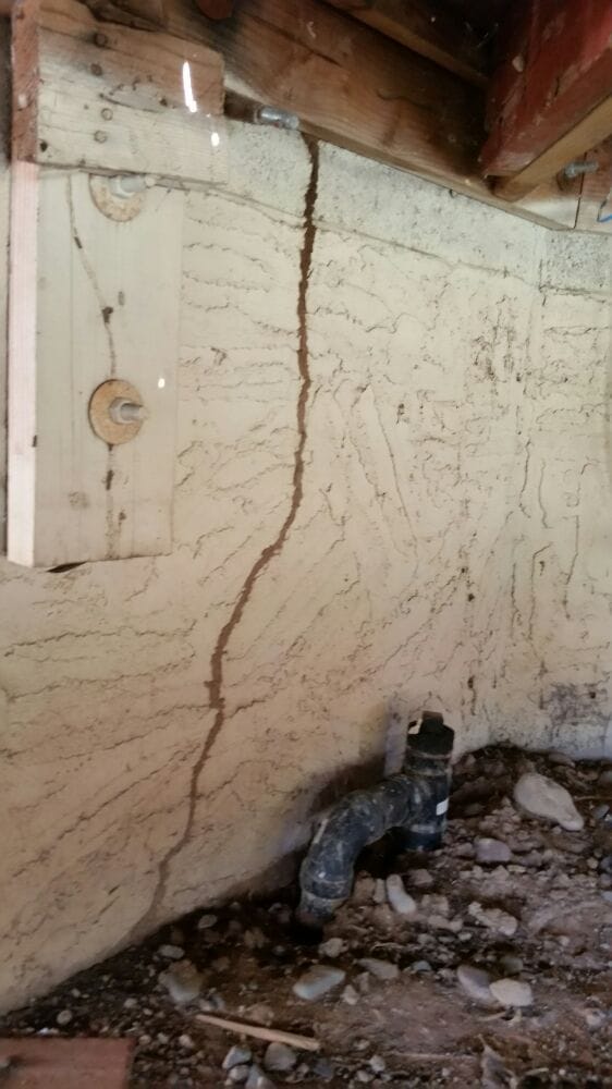 Precision Pest Control