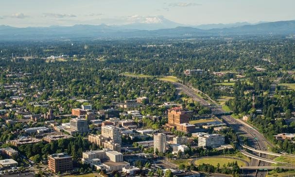 Terrys Handyman Maintenance Services