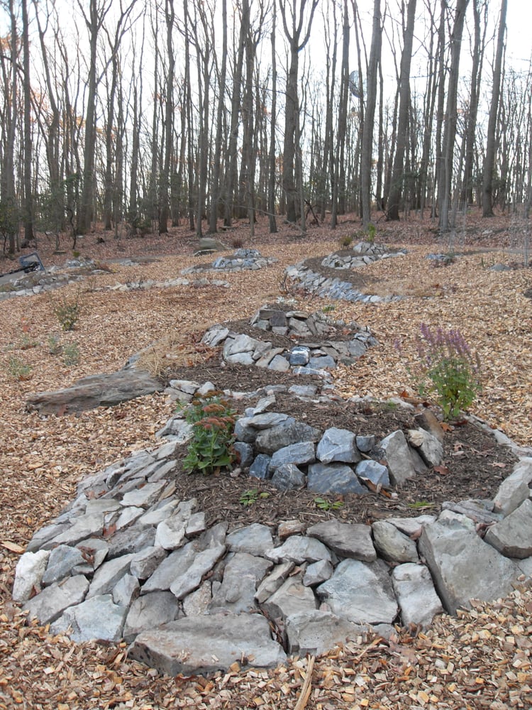 Deeply Rooted Design