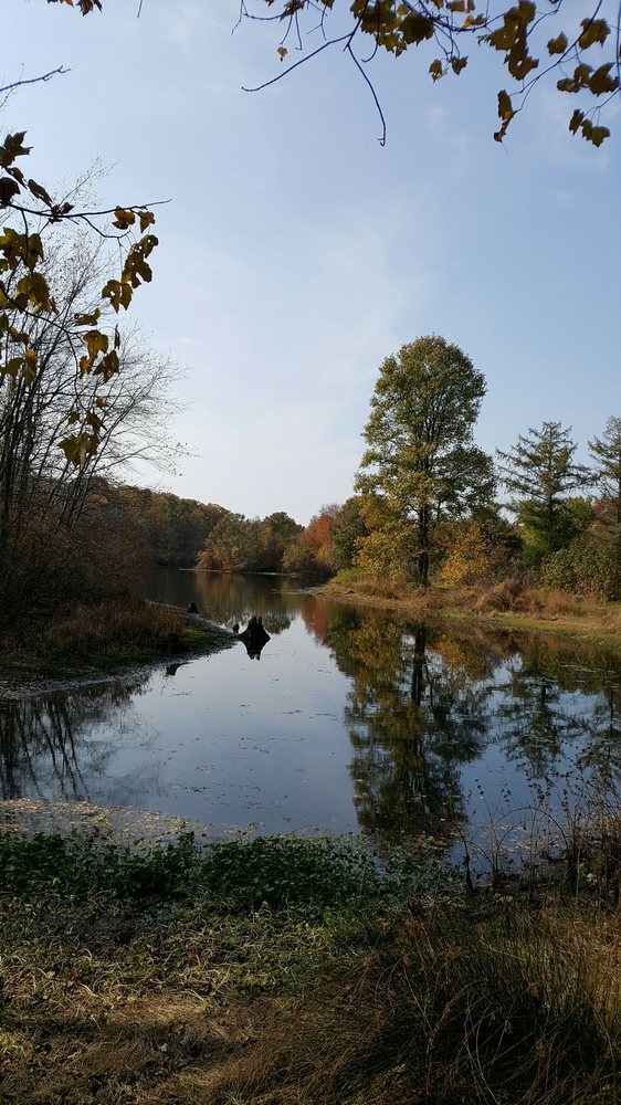 Turkey Swamp Park 44 Photos & 13 Reviews Parks 200 Rd, Freehold Township, NJ