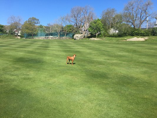 Bass Rocks Golf Club 2019 All You Need To Know BEFORE You Go with 