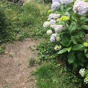 labor works employment agencies 7201 pioneer way gig harbor wa labor works gig harbor
