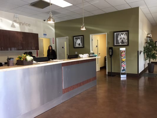 Access Woodland Hills >> Access Specialty Animal Hospital 20051 Ventura Blvd Woodland Access Woodland Hills >> Access Specialty Animal Hospital 20051 Ventura Blvd Woodland
