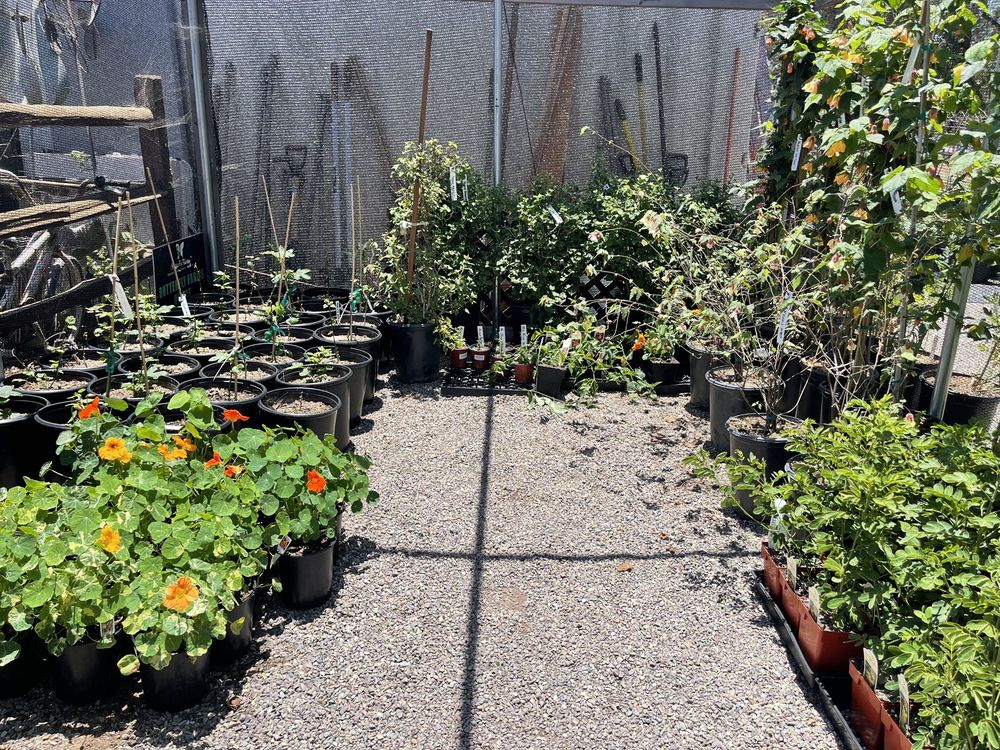 Luca Micaela Nursery