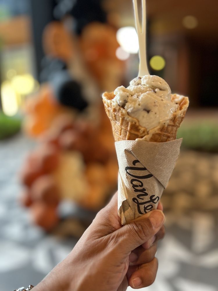 Van Leeuwen Ice Cream - Montrose