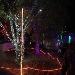 holiday lights at c a l m 66 photos 22 reviews festivals christmas town bakersfield