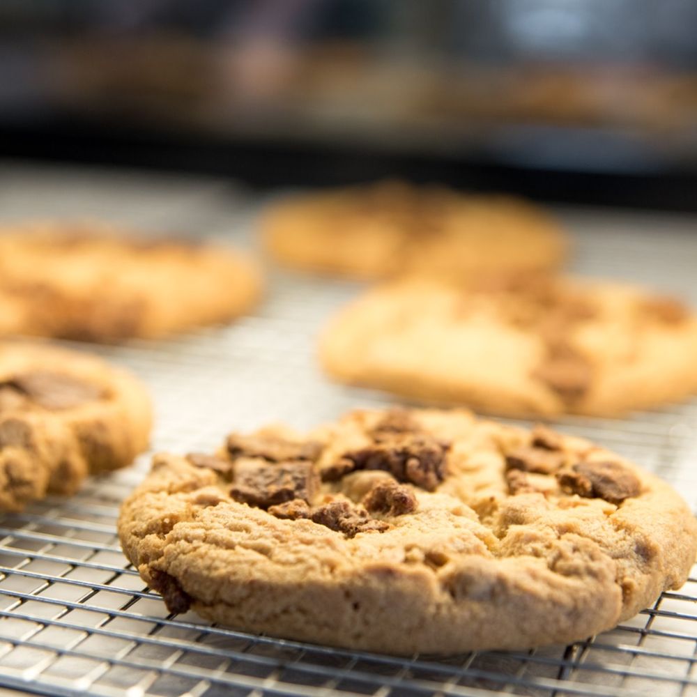 Wheeler's Bagels - Kingsport