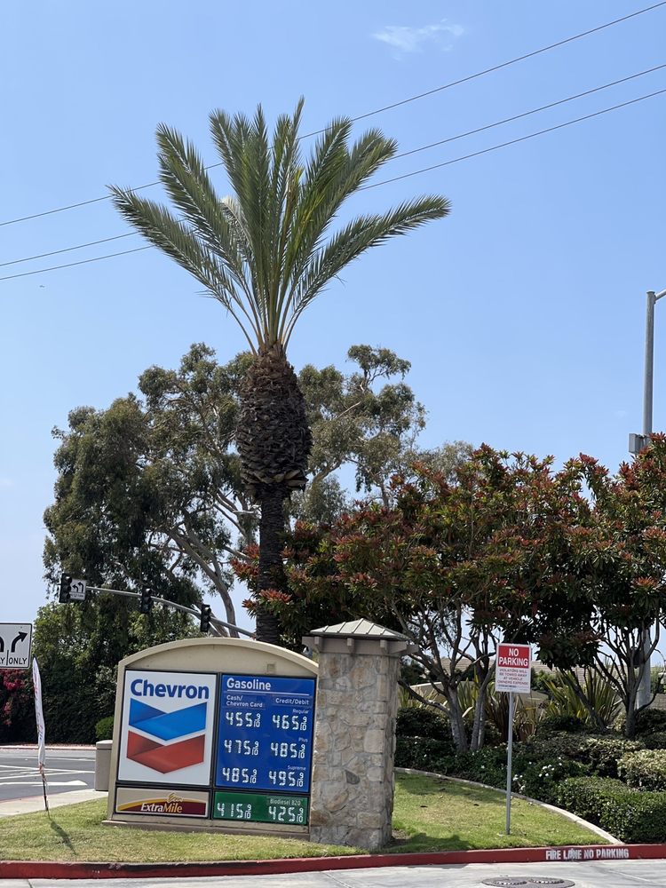Chevron