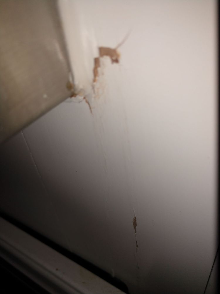 image of business Church