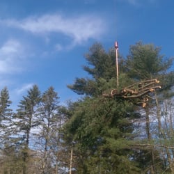 Community Tree Service 12 Photos Services 163 Billerica Photo Of Community Tree Service Chelmsford Ma United States