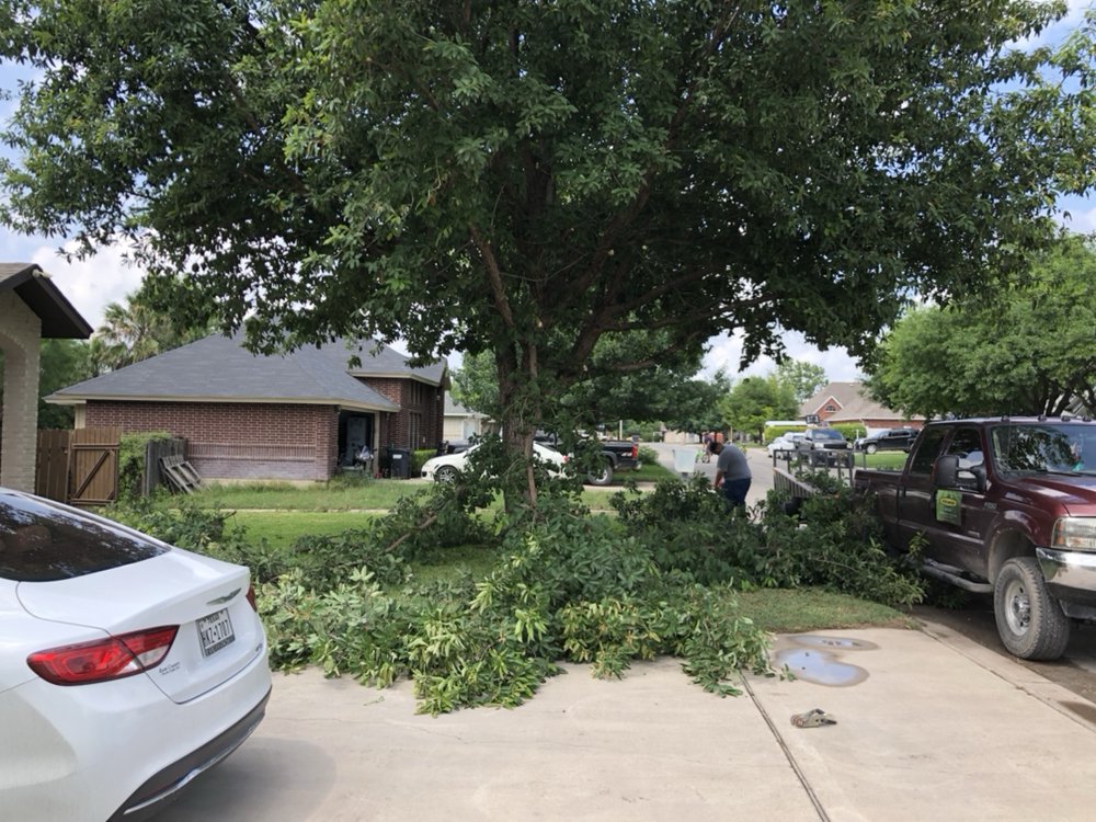 Del Rio Lawn Care