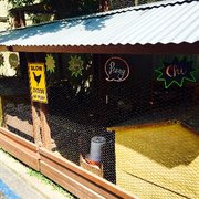 Camelot Kids - Los Angeles, CA, United States. Chickens!