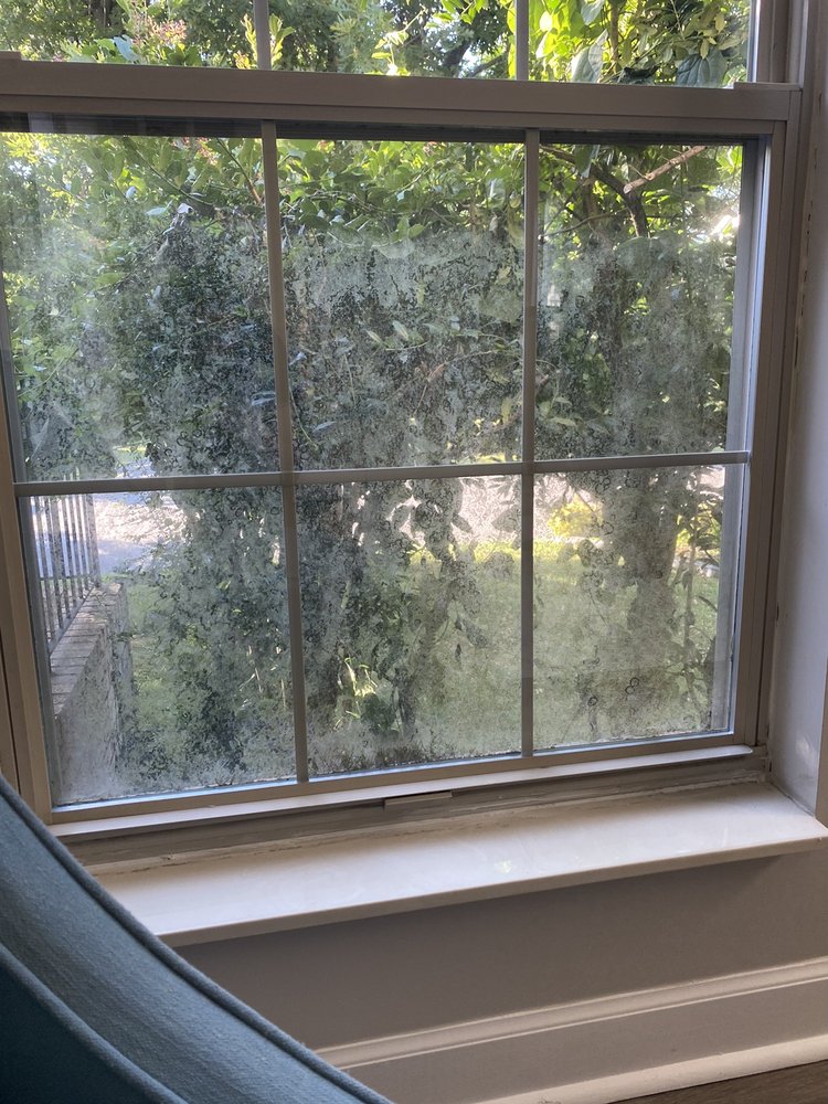 Easley Window Cleaning