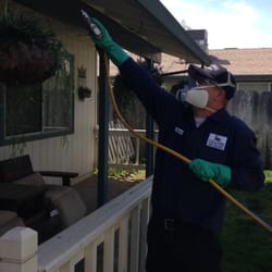 pest control chico ca butte county photo of graves pest control chico ca united states 24 photos ca phone pest control chico ca butte county photo of graves pest control chico ca united states 24 photos ca phone