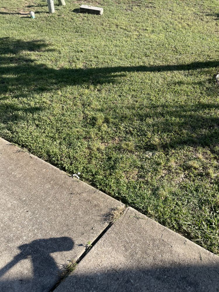Lonestar Lawn Care