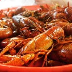 The Best 10 Seafood Restaurants In Lake Charles La With Prices 5 Steamboat Bills