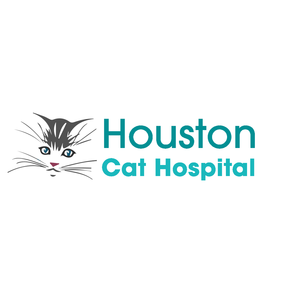 Houston Cat Hospital 21 Reviews Veterinarians 11169 Westheimer Rd, Westchase, Houston, TX