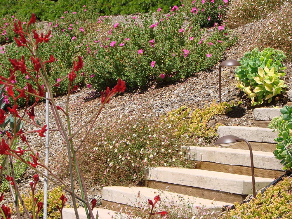 Natalain Schwartz Landscape Design
