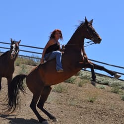 Horseback Riding In Malibu Yelp Malibu Riders