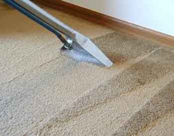 image of business San Diego Steam Cleaning & Restoration