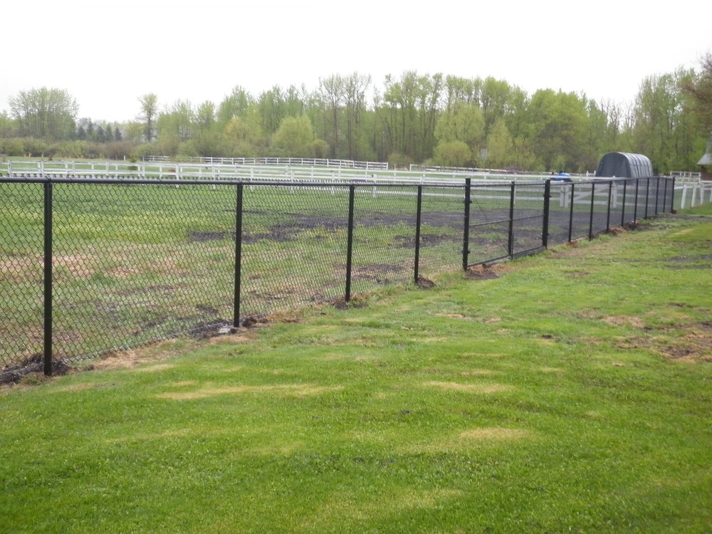 Phoenix Fence