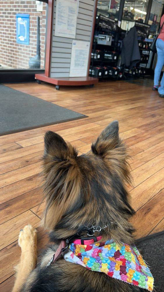 Firestone Complete Auto Care