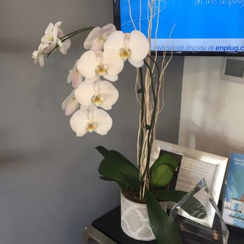 Socal Flower Supply 71 Photos 29 Reviews Florists 15532 Photo Of Socal Flower Supply Van Nuys Ca United States And