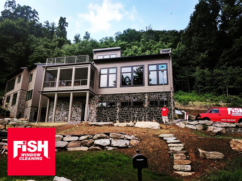 Fish Window Cleaning