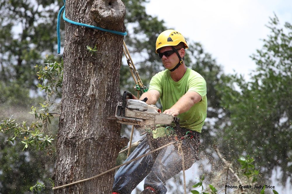 Duffey Tree Care