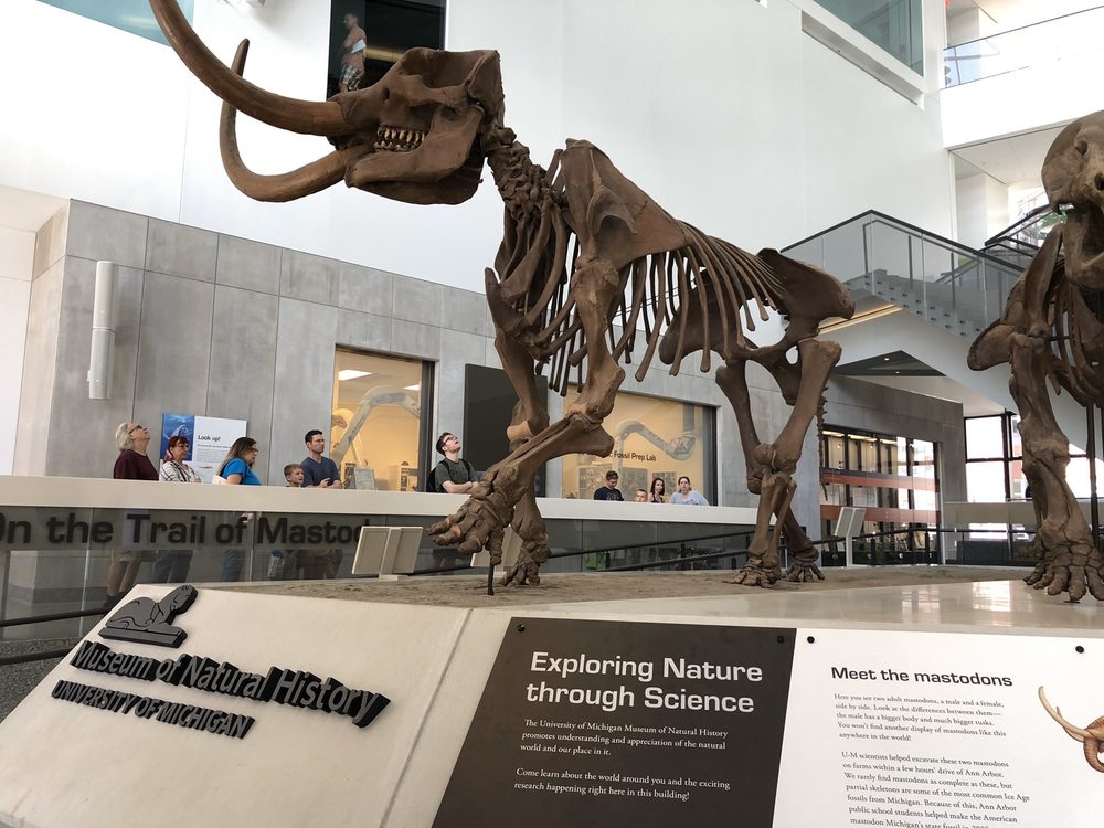 Photo of University of Michigan Museum of Natural History