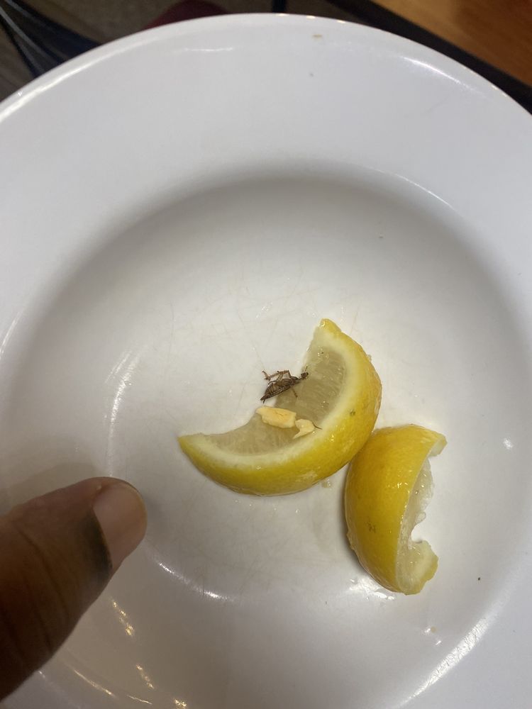 Golden Corral Buffet & Grill