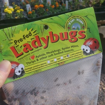 Rehm S Nursery And Garden Center 27 Photos 15 Reviews Photo Of Rehm S Nursery And Garden Center Albuquerque Nm United States Time