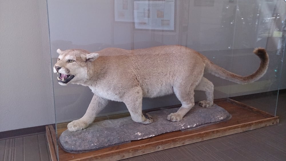 California Department of Fish and Wildlife