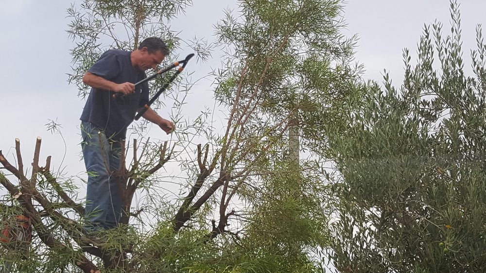 Michael's Tree Service