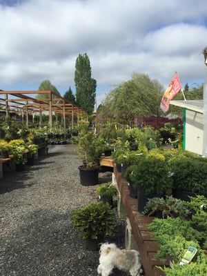 Yard N Garden Land 1501 Ne 102nd St Vancouver Wa Nurseries Mapquest